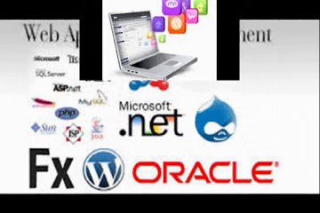 CrowdFinch Company Web Design Services