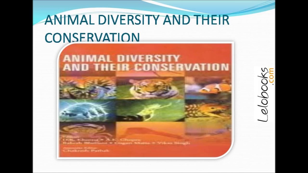 Peep Into The Wild Side Of Nature