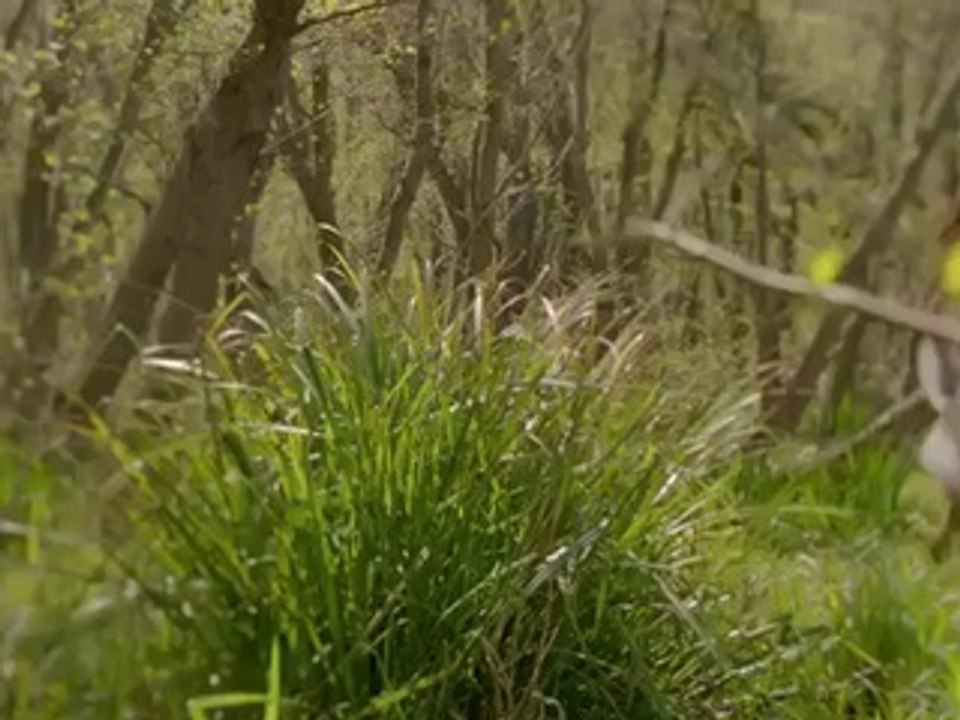 Ağlatan Dans Tanıtım Fragmanı (Yeni Dizi) izle - Fragmanlarizle.org