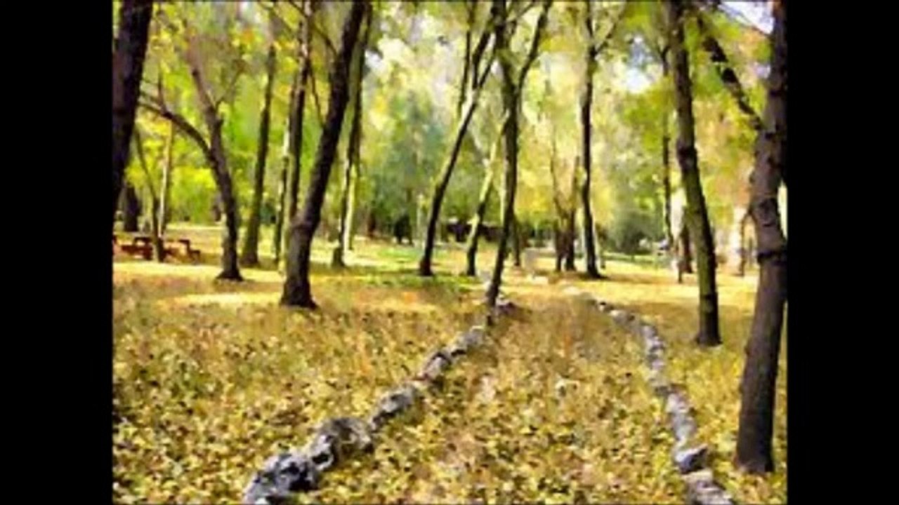 Risale-i Nur'dan 3. Mesele