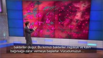 Mehmet Oz Gida Intoleransi ve Kilo iliskisini anlatiyor