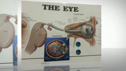 eye problems& eye doctor Highlands Ranch CO