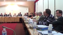 séance du conseil municipal de Villeneuve-le-Roi du 30 avril 2014 - 2ème partie