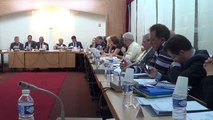 séance du conseil municipal de Villeneuve-le-Roi du 30 avril 2014 - 3ème partie