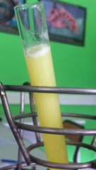 Modélisation de la fusions partielle de la péridotite