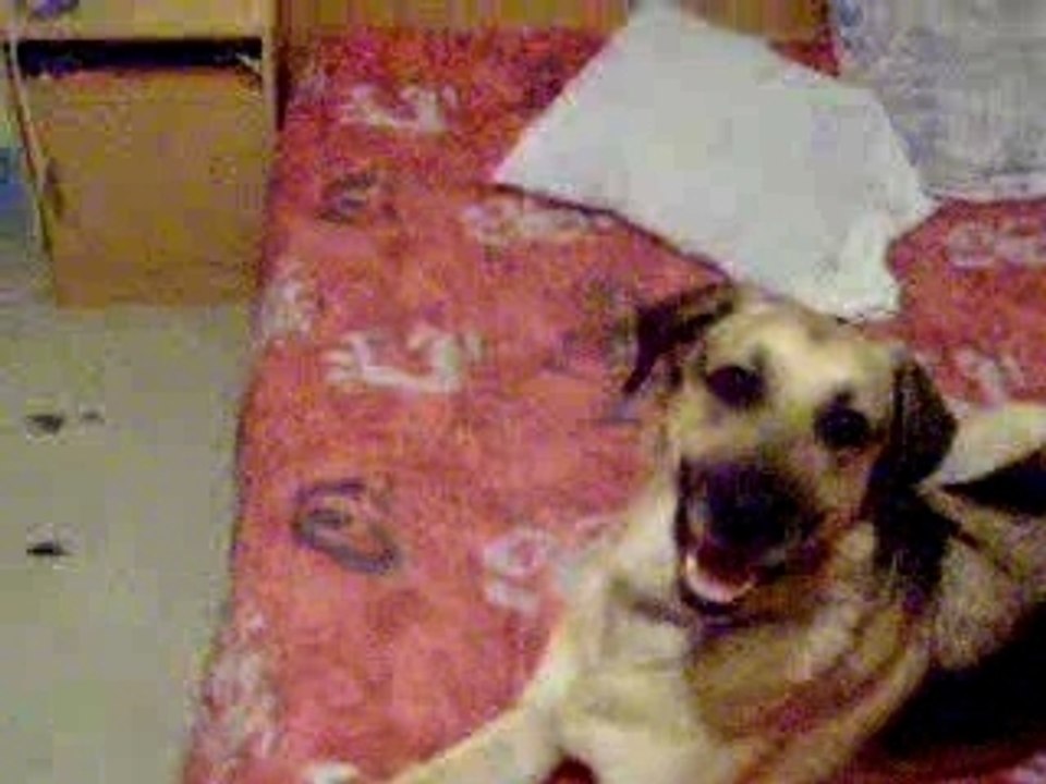 Sam