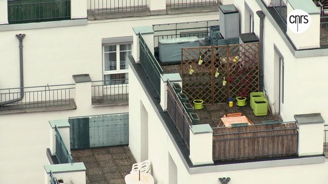 Les étonnants gratte-ciel de Villeurbanne