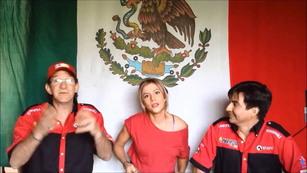 19. PERROS AL AIRE. Perros famosos, pulgas.