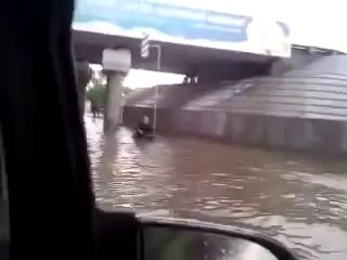 Sahibini selden kurtaran kahraman köpek!