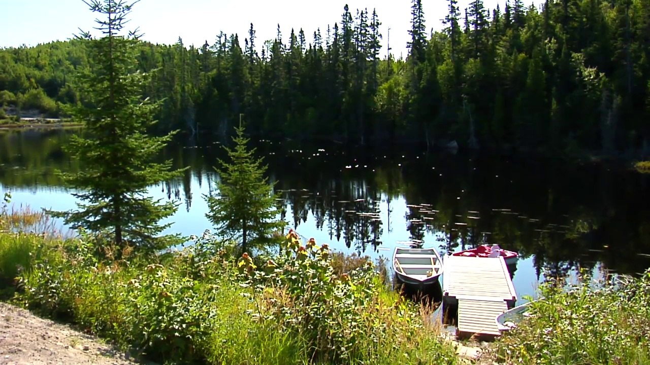 Chalet et Pourvoirie du lac à Jimmy Essipit - Chalet Moineau Extérieur numéro 3