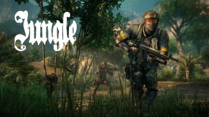 Battlefield bad company 2 | Jungle | Game without my voice on PC