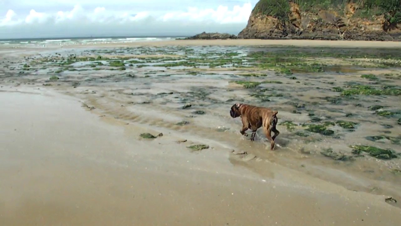 Avant goût d'été près de Douarnenez plage du RIS!