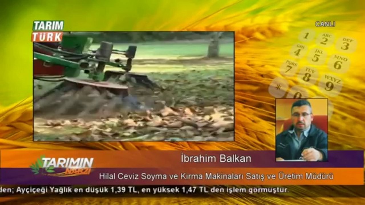 Tarımın Nabzı -   (1)ceviz