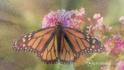 Reflections at Bluestone Apartments in Greenfield, IN - ForRent.com