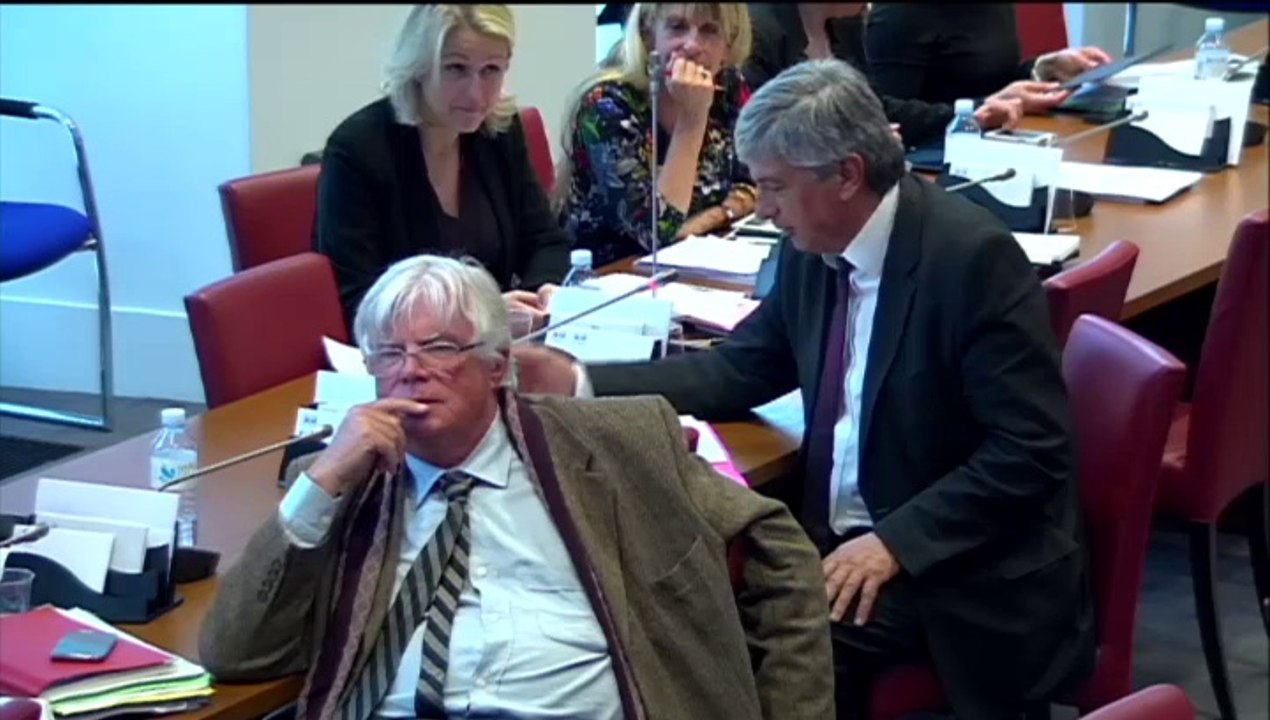 Intervention d'Hervé Féron en Commission des Affaires Culturelles et de l'Education : audition d'Olivier Schrameck, Président du CSA