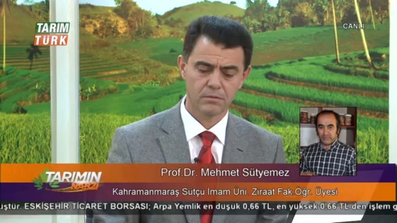Tarımın Nabzı -   (4)ceviz