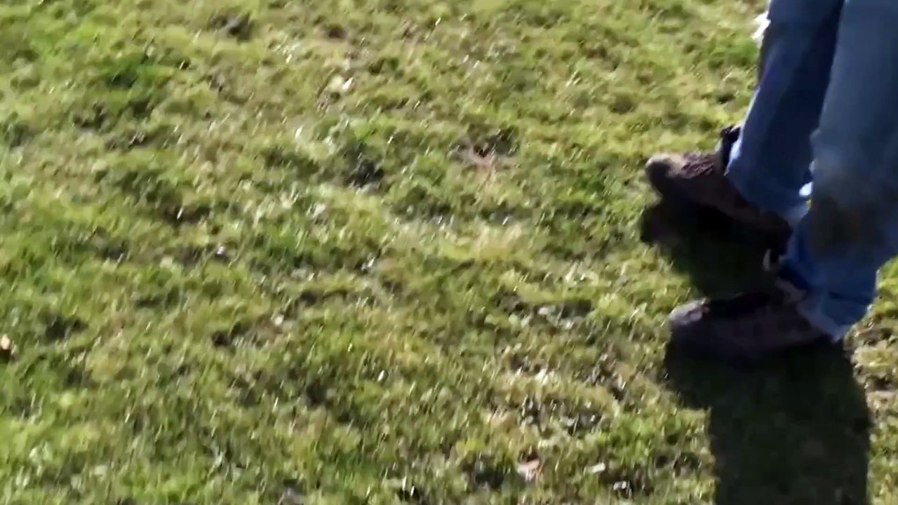 Power Kite #FAIL | Dragged by the Wind