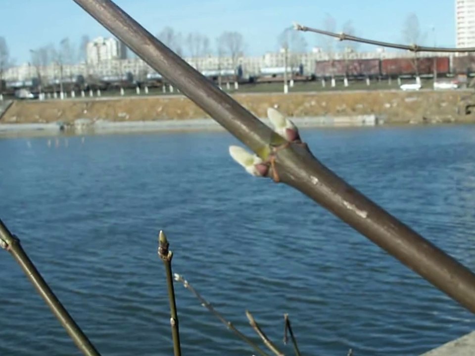 ВЕСНА 2006
