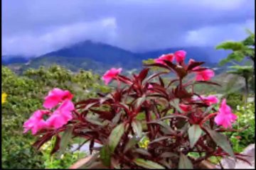 ENIGMA, Close To Heaven (Proche du Ciel) Production 83