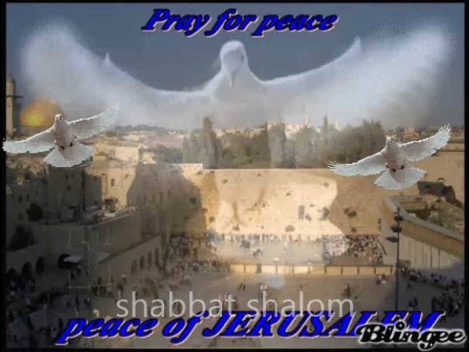 שַׁבָּת שָׁלוֹם 2014.