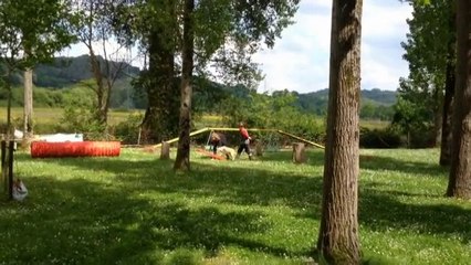 Inka - début agility