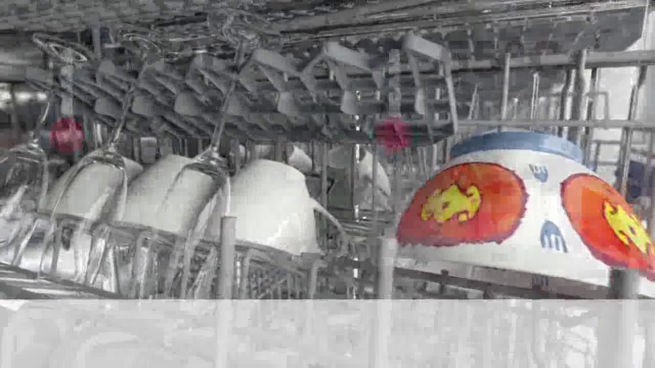 Bosch HygienePlus Geschirrspüler