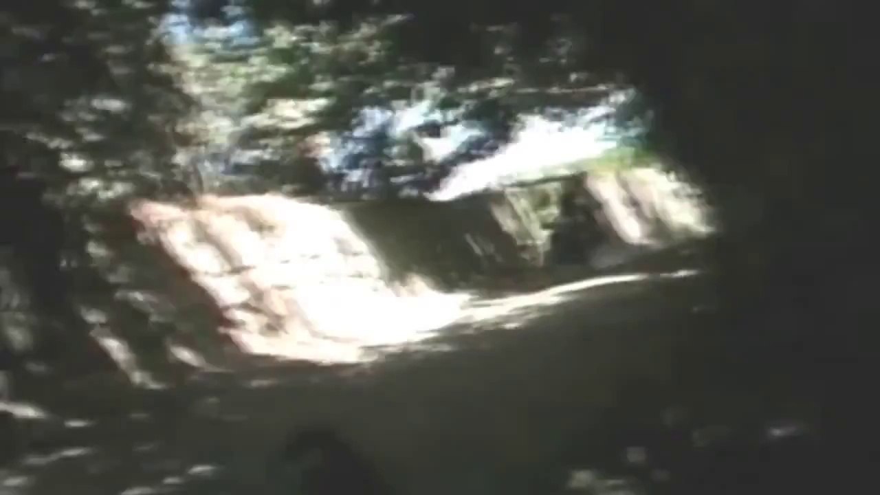 Was die Medien verschweigen, zeigen wir