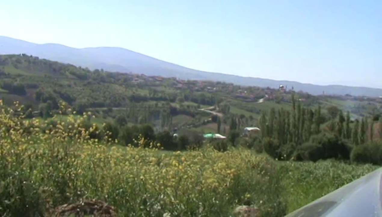 isaalan2