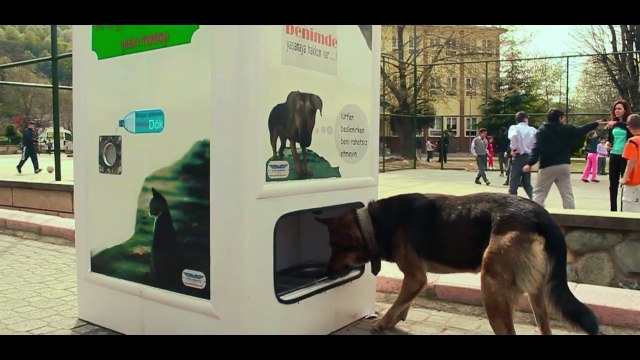 Sokak Hayvanları İçin Üretilmiş Geri Dönüşüm Kutusu - Pugedon