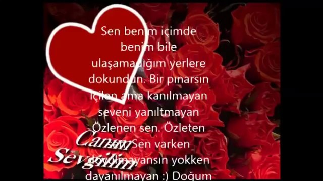 Selin Seni çoook seviyorum doğum günün kutlu olsunnn