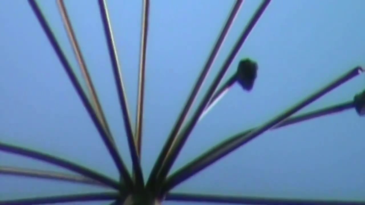 8MIN News PLASMA EXPERIMENT NUMBER (3) FOR THE  DOUBTERS