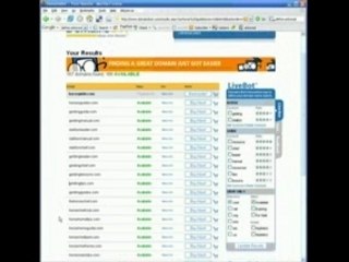 Lesson 2 - Domain Names And Hosting