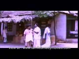 தமிழ் tamil