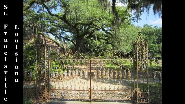 Bing Crosby~1928~Louisiana w/Paul Whiteman Orch
