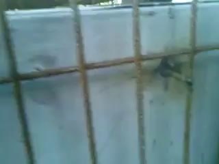 banka-kasasi-degil-guvercin-yuvasi