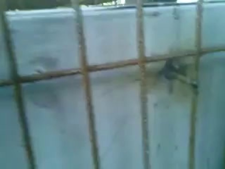 banka-kasasi-degil-guvercin-yuvasi