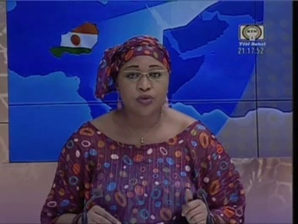 Télé Sahel JT 06-05-2014  Nigeriens de Belgique