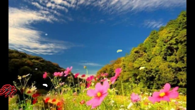 Have a nice day!... ...(music Ernesto Cortazar)... ...