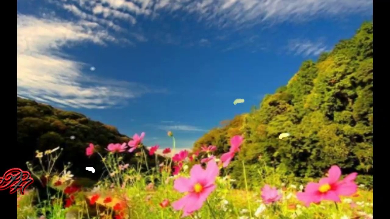 Have a nice day!... ...(music Ernesto Cortazar)... ...