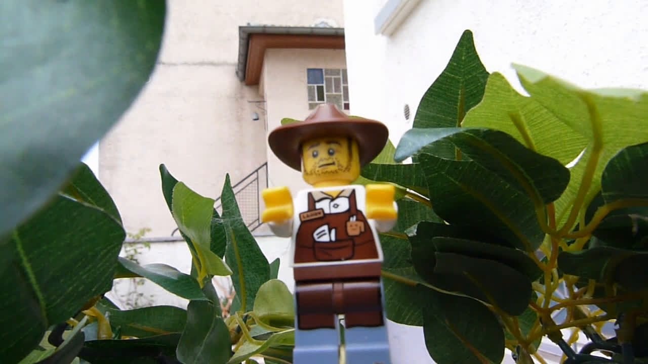 Indiana jones (Créneau Prod)