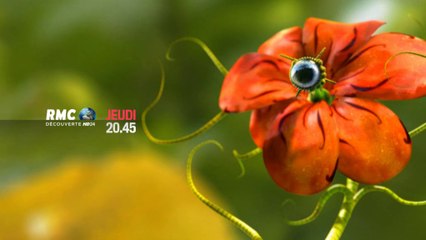 20H45 - Jeudi 8 Mai - Les Mystères de l'Univers