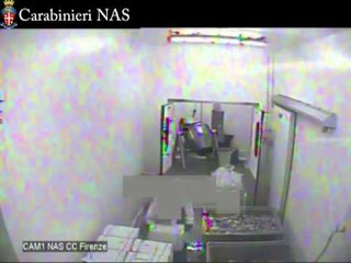 Firenze - NAS, sequestrate oltre 30 tonnellate di pesce potenzialmente pericoloso (06.05.14)