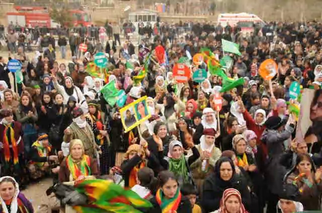 mardin newrozu 2013