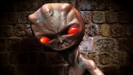 O caso do Et de Varginha