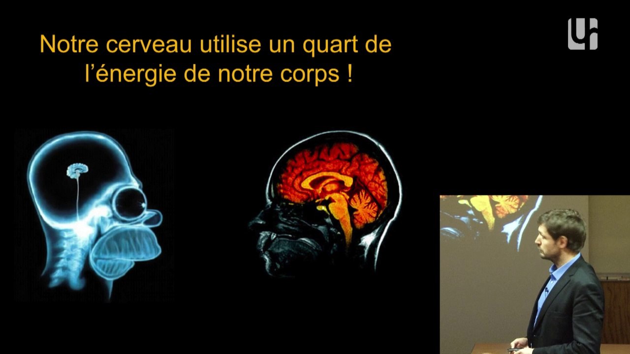 Energie et économie