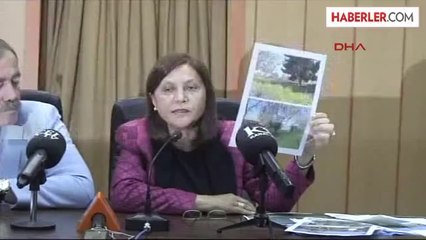 BDP'li Mutlu 'Toki, Danıştay'ın Kararını Hiçe Sayıyor'