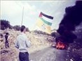 فلسطين تحت المجهر.. مناطق "ج" بفلسطين