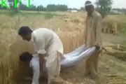 پاکستانیوں نے گندم کاٹنے والی مشین ایجاد کرکے ملک کا نام روشن کردیا دیکھے اور شیئر کریں اور دوستوں کو بتائیں۔