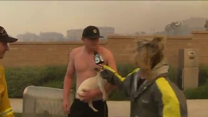 Shirtless Man Asks Out KTLA Anchor During Wildfire