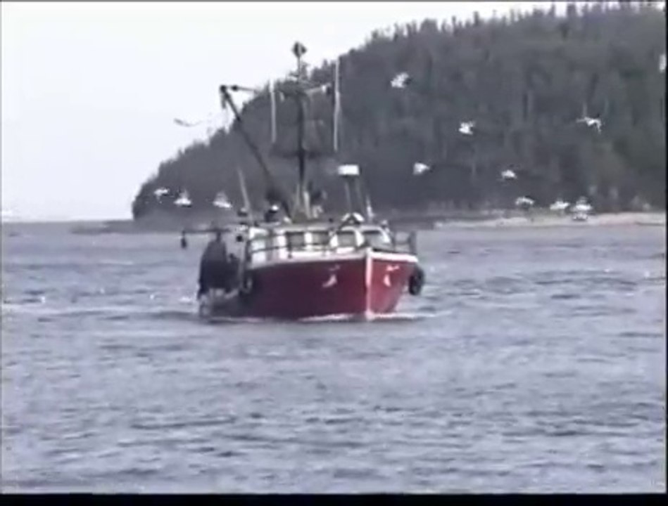 Une veillée chez les Cayens -  Albert Babin